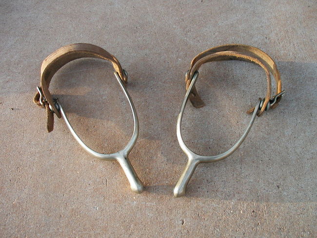 Cavalry Spurs