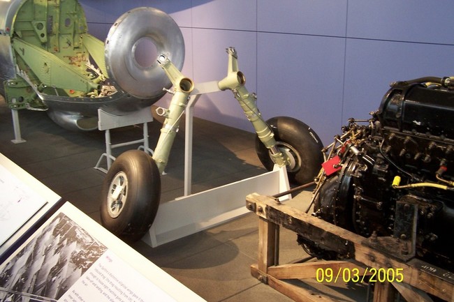 Inside_the_Natural_Science_Museum_5_