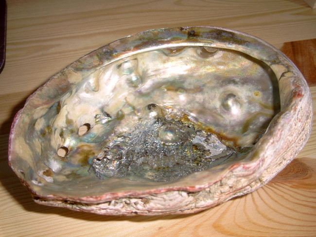 Red Abalone pearls