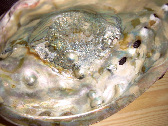 Red Abalone pearls