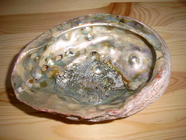 Red Abalone pearls