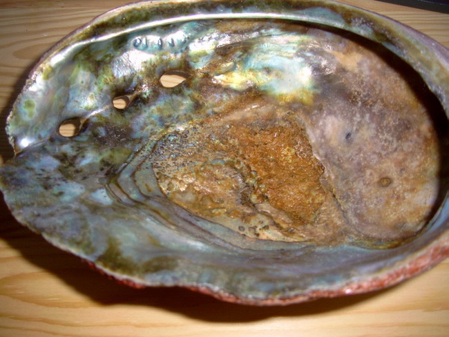 Abalone pearls