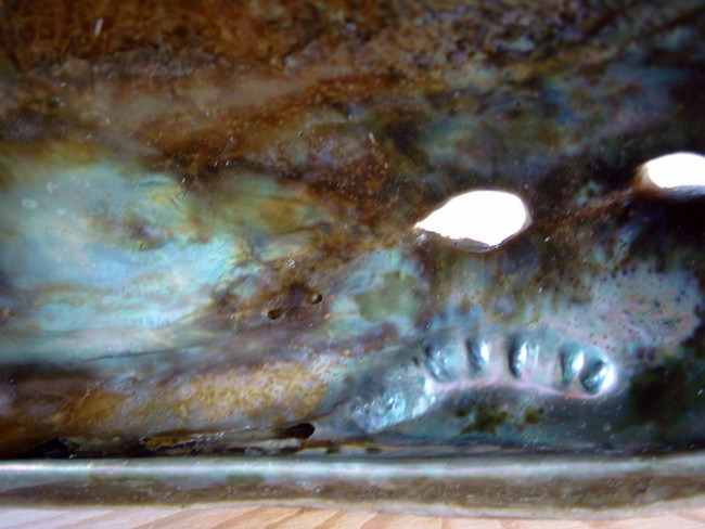 Abalone pearls