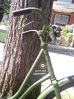 Hendon_Bike_004.jpg