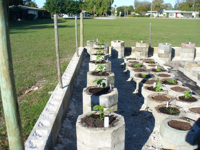 church garden