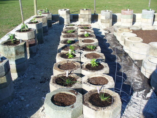 church garden