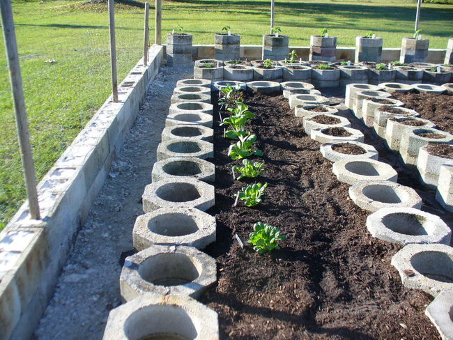 church garden