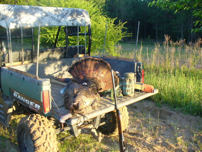 Turkey hunt 2016