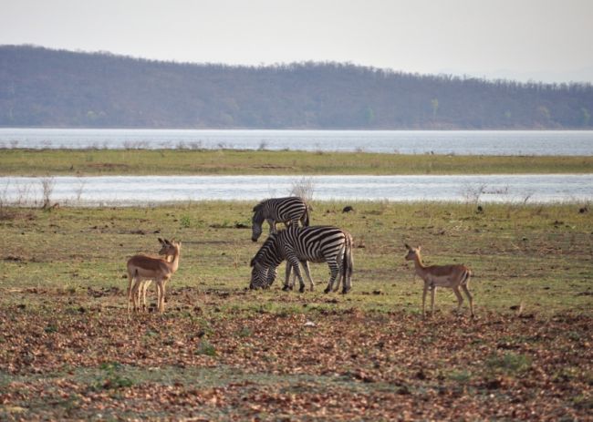 Day 7 - Kariba