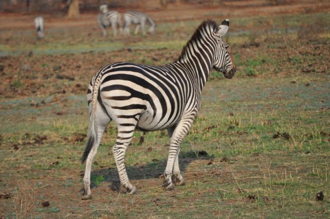 Day 7 - Kariba