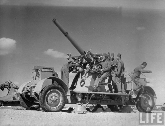 British & Egyptian Forces 1940 - G503 Military Vehicle Message Forums