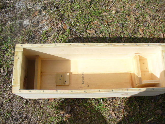 chainsaw box