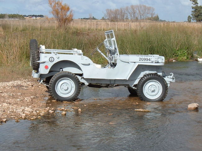 Willys MB Navy jeep