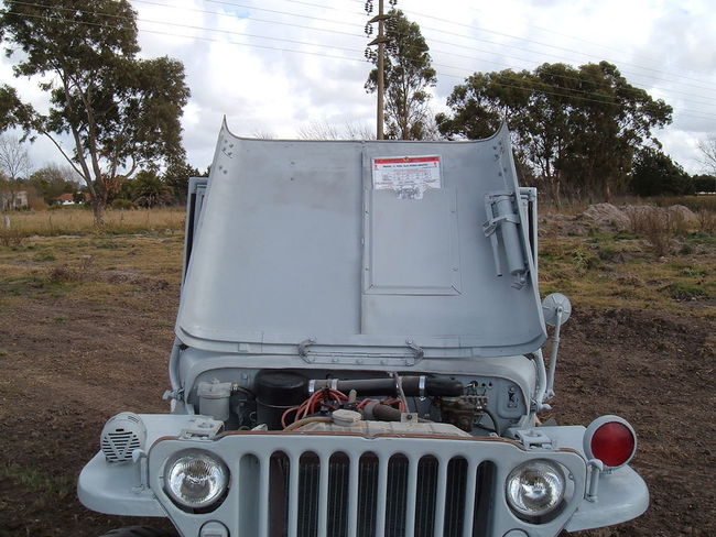 Willys MB Navy jeep