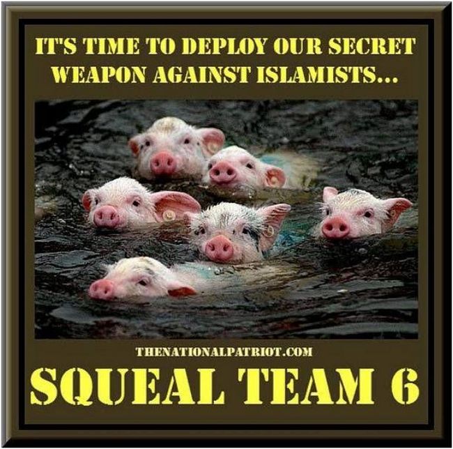 Squeal Team 6