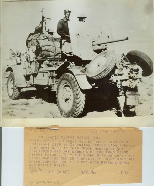 Anti-Axis Desert Patrol Guns