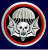 502nd_Patch