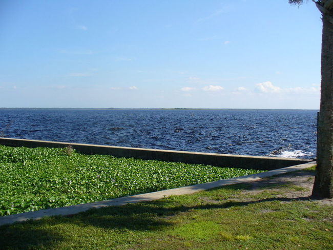 Train along the lake