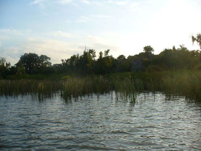 Lake Dora