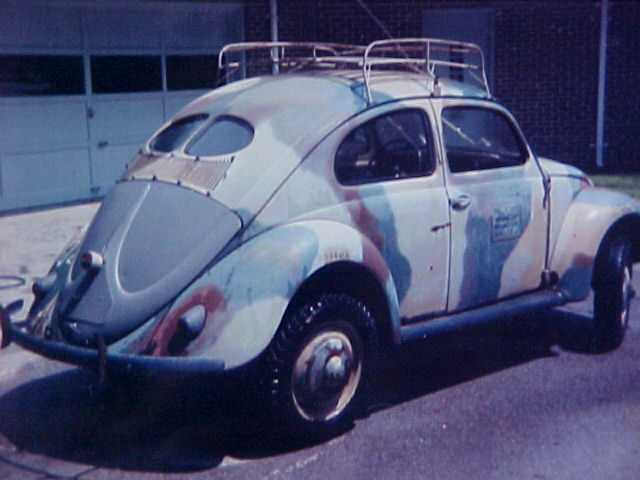 early beetle