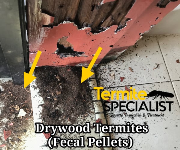 Subterranean Termite Treatment