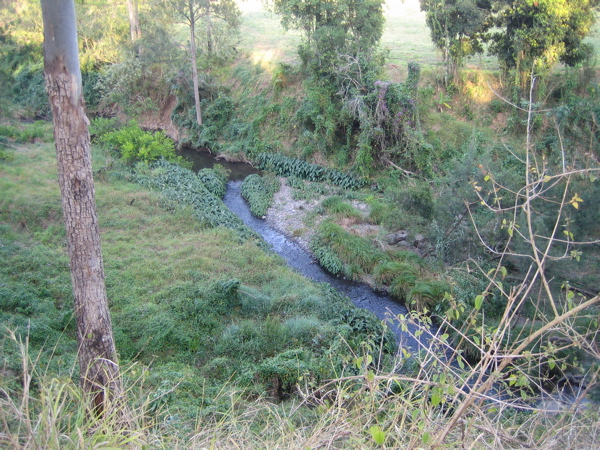 Canungra 2009