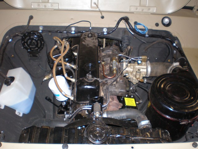 Ford mutt engine