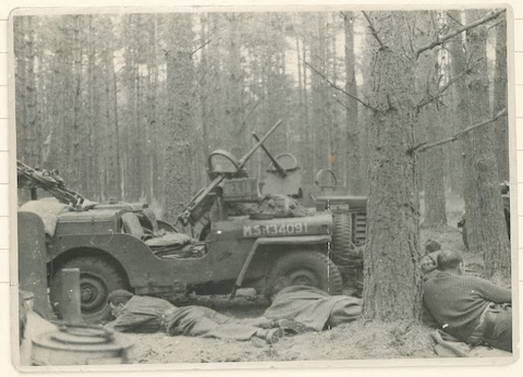 Mayne_jeeps_in_woods