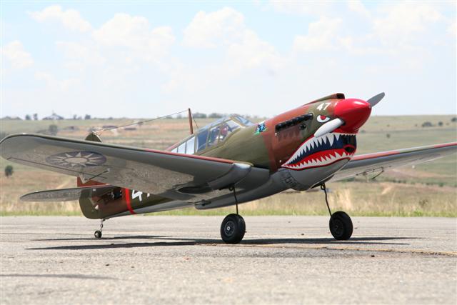 P-40