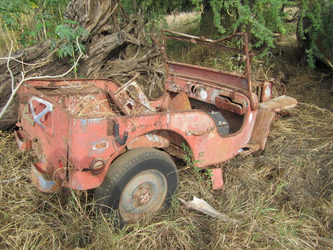 Ford Jeep Hawaii