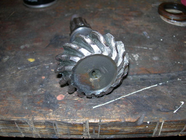 Front_Pinion_1