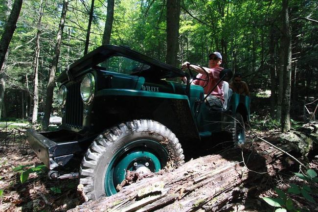 Jeep Willys CJ