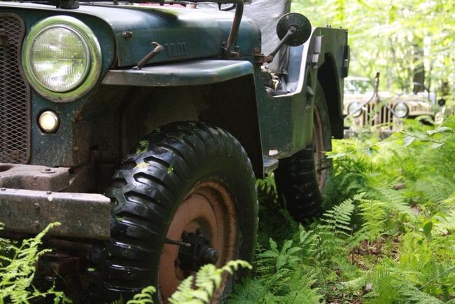 Jeep Willys CJ