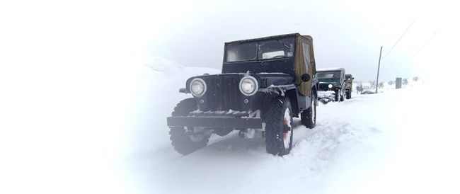 Jeep Willys CJ