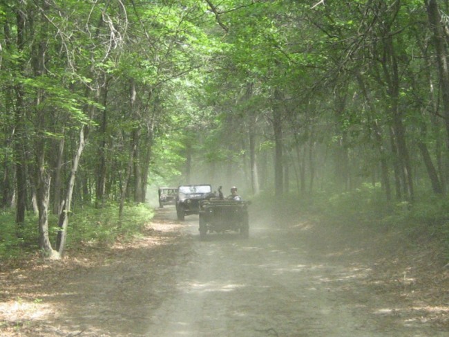 Jeeps_in_woods