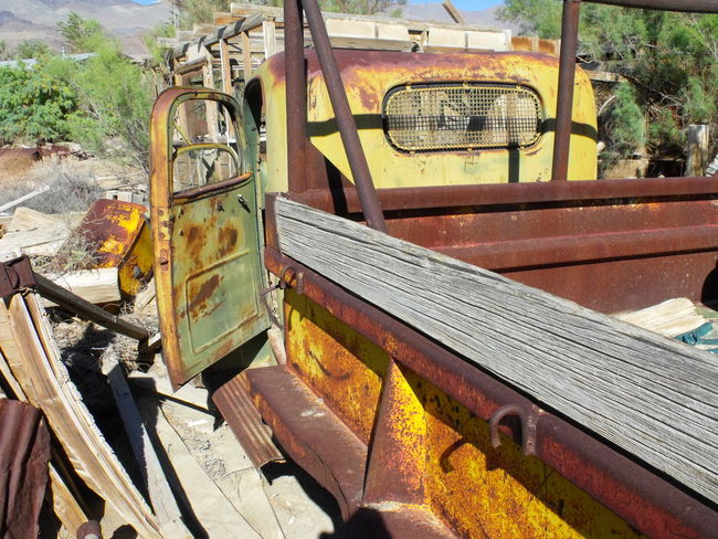 Old Girl in the High Desert.