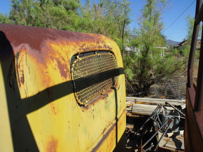 Old Girl in the High Desert.