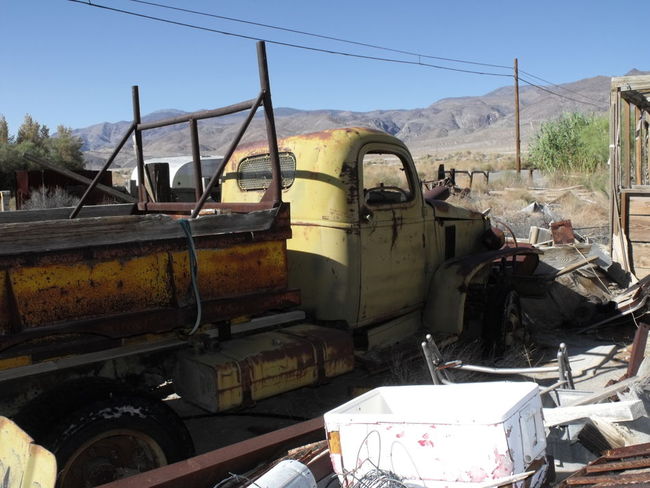 Old Girl in the High Desert.