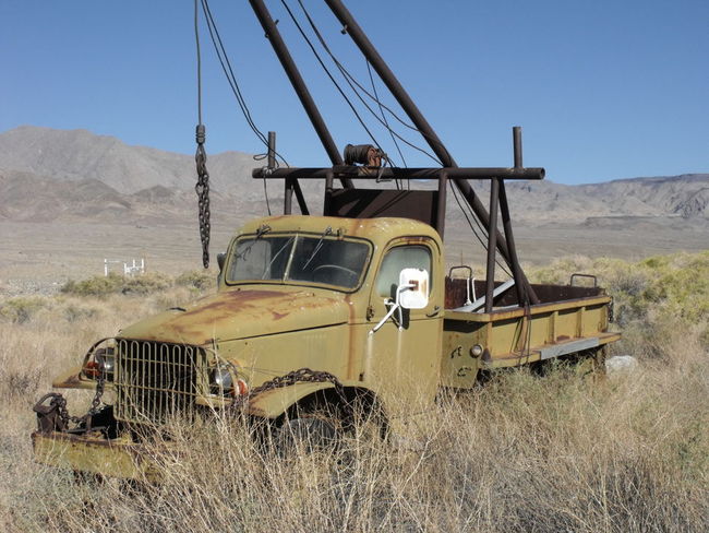 Old Girl in the High Desert.