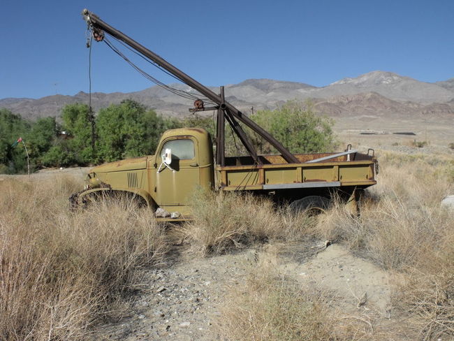 Old Girl in the High Desert.