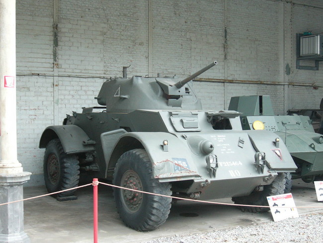 Staghound