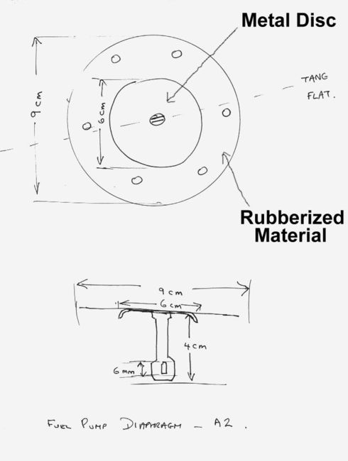 diaphragm