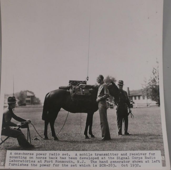 Remote control horse?