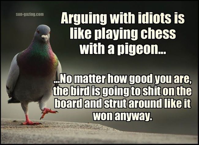 pigeon chess