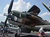 OSH1_736_Small_.jpg