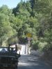 WILLYS_AMERICAN_CAZEDERO_JEEP_RUN_005.jpg