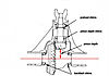 pinion_depth_diagram1.jpg