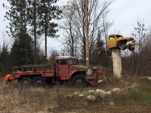 truck_on_tree