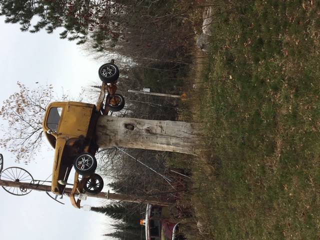 truck_on_tree_3