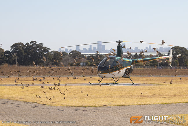 Robinson R22 ZS-RXN Rand Airport FAGM